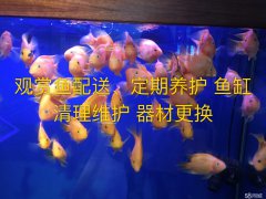   βˮ ϴײά޵